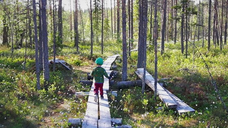 Taapero juoksee pitkospuilla metsässä.