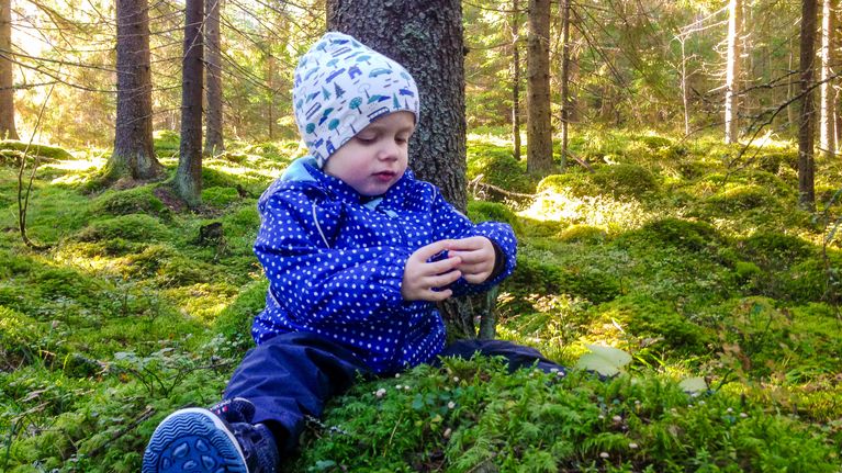 Lapsi istuu sammalmättäällä metsässä ja katsoo kädessään olevaa sammalta, taustalla näkyy puita.