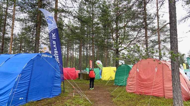 Suuria eri värisiä telttoja mäntyjen keskellä. 