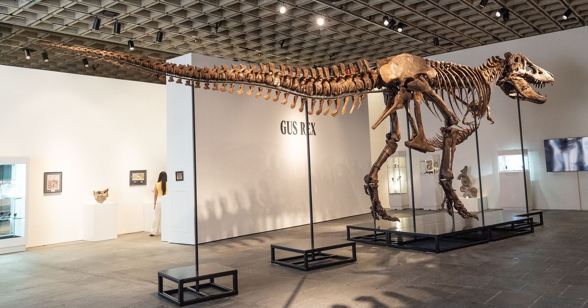 Tyrannosaurus rexin luuranko myytiin yli 50 miljoonalla dollarilla - Yle