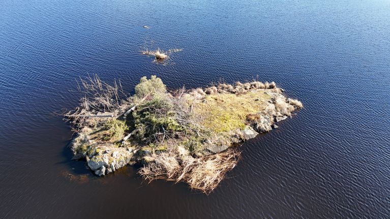 Pieni, kivinen saari järvessä, saarella matalaa kasvillisuutta ja kaadettuja puita ja pensaita.