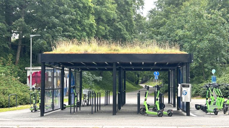 Kuvassa on polkupyöräkatos keskellä asvalttikatua Lahdessa. Katoksen katto on viherkatto eli kasvillisuutta katolla.