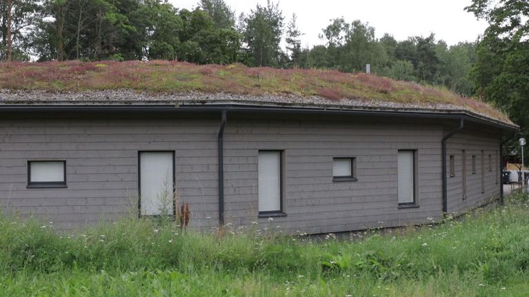 Harmaan rakennuksen katolla kasvaa viherkatto.