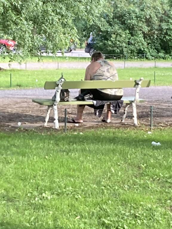 Lopulta Henkka sai istua rauhaksiin ylhäisessä yksinäisyydessä katselleen kuningaslajia.