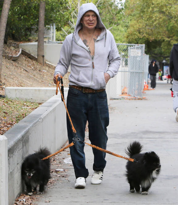 Mickey Rourke toukokuussa 2026 kahden koiransa kanssa.