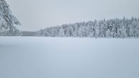 Lumista järveä ja metsää sen takana.