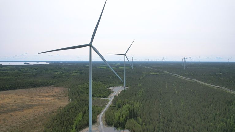 kuvassa tuulimyllyjä metsämaisemassa.