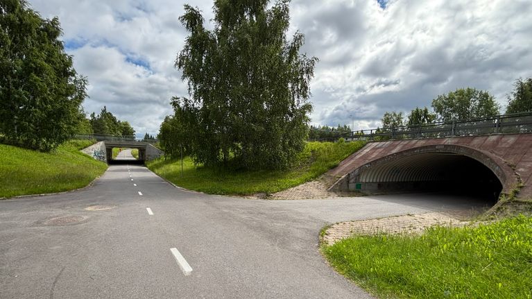 Asfaltoitu kävely- ja pyörätie haarautuu kahteen alikulkuun, joita ympäröi vihreä nurmikko ja puita.