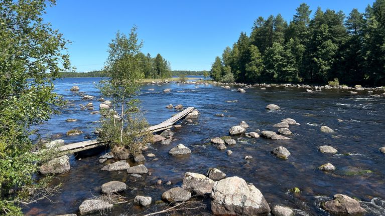 Konneveden Siikakoski, vesi on matalalla.