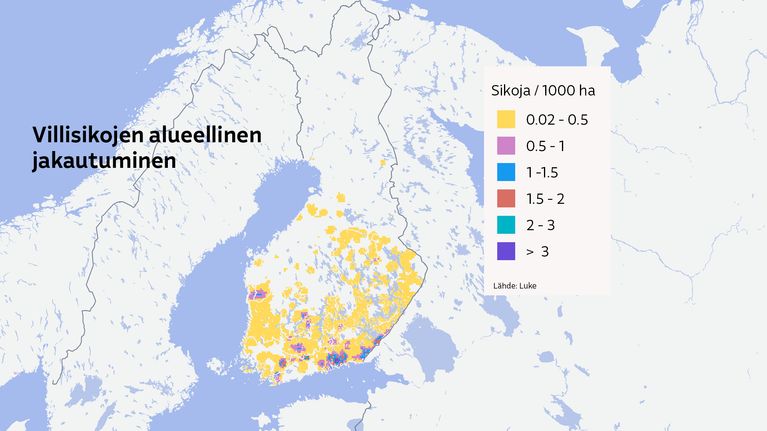 Kartta Suomesta, jossa näkyy villisikojen alueellinen jakaantuminen.