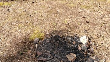 Tulipaikan pohja rannalla kuivassa maastossa. 