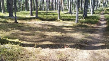 Maastoon on tallautunut alue, jossa leiriydytty.