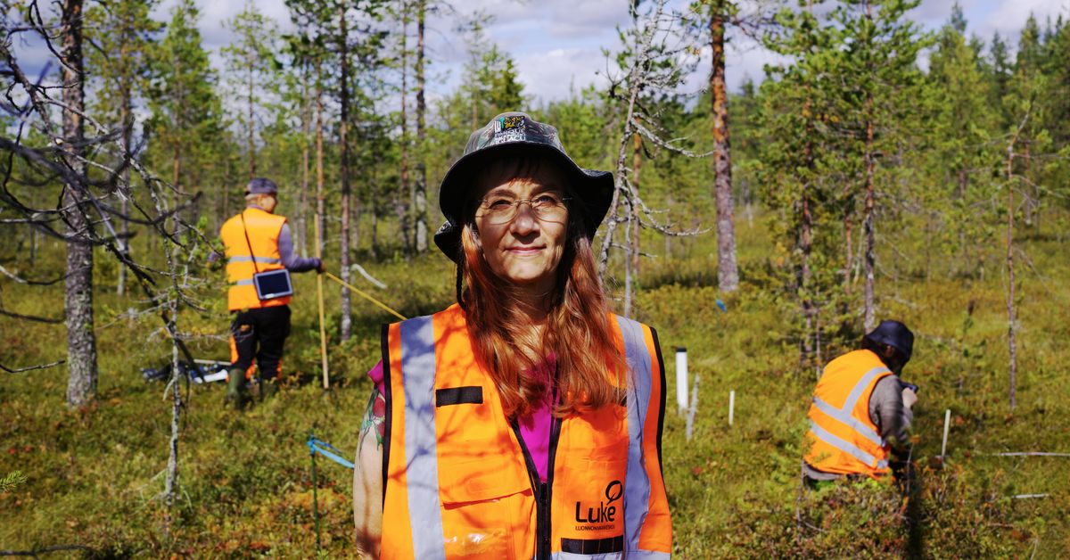 Tällaisia soita Suomi haluaa lisää – yhtenä syynä Venäjän panssarivaunut | Kotimaa