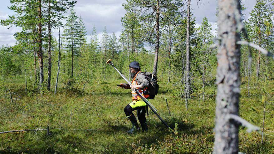 Henkilö kävelee metsässä ja kantaa reppua sekä pitkää mittalaitetta, taustalla vihreitä puita ja varvikkoa.