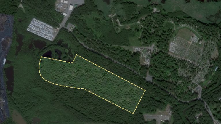 Kuvakaappaus satelliittikuvasta Yandexin karttapalvelusta Kronstadtin länsipuolelta.