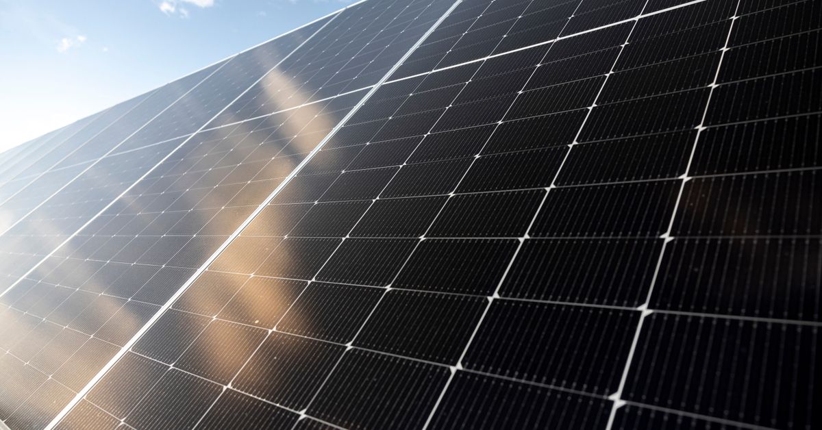 Uusi peltojen käyttötapa tulee Suomeen: viljely jatkuu aurinko­paneelien alla | Talous