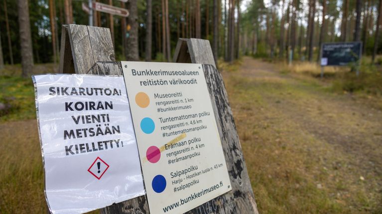 Metsäpolun alussa puinen opaste, jossa koirakieltokyltti sikaruton takia.