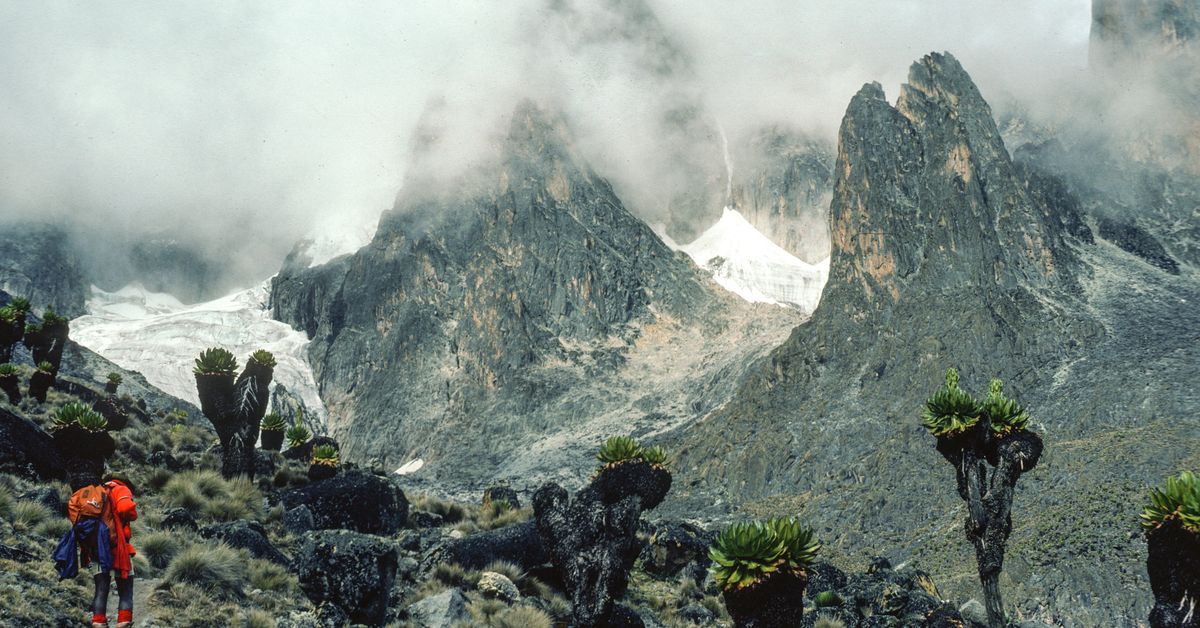 Vuoristo-opas on noussut Mount Kenyalle lukemattomia kertoja – nyt hän näkee dramaattisen muutoksen | Ulkomaat