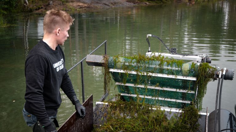 Jonne Untinen, Oulun yliopiston projektitutkija, seisoo koneen vieressä ja tarkkailee laitetta, johon on tarttunut runsaasti vesikasveja.