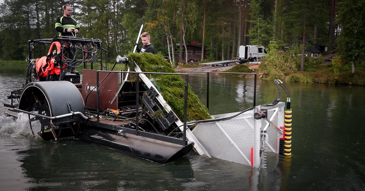 Mökkijärviä piinaava vesirutto kohtasi vastustajansa – yliopisto­tutkijat rakensivat ketterän keräyskoneen | Pohjois-Pohjanmaa