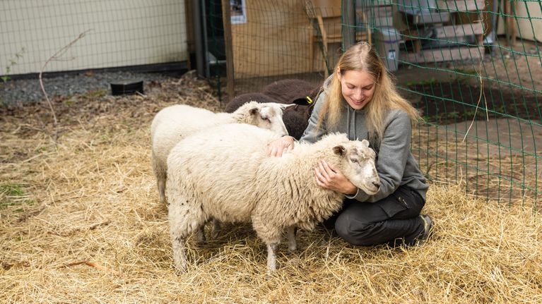 Vaaleahiuksinen nainen lammasaitauksessa polvistuneena lampaiden vierelle. Etualalla kaksi valkoista lammasta, takana kaksi tummaa.