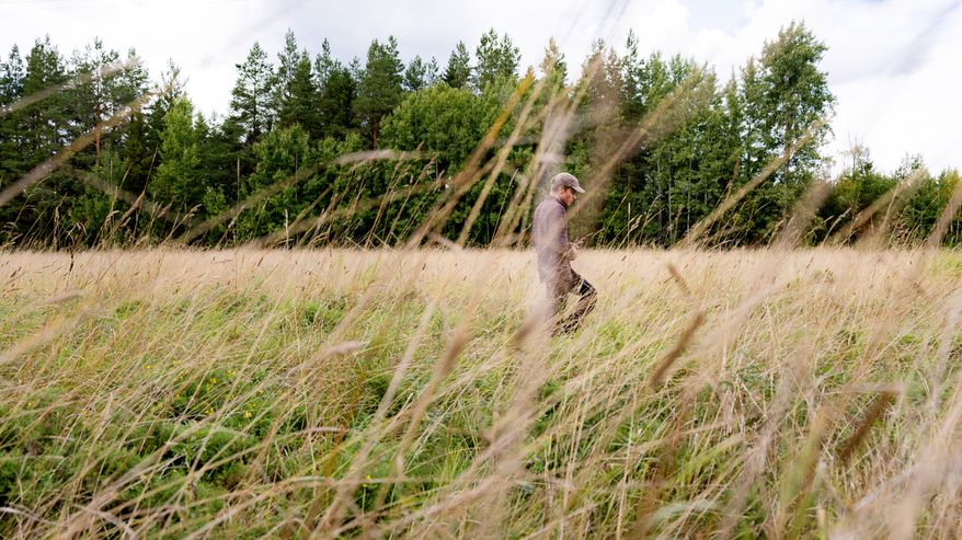Henkilö kävelee pitkän heinikon keskellä pellolla, taustalla metsä ja pilvinen taivas. Kuvassa ei ole tekstiä.