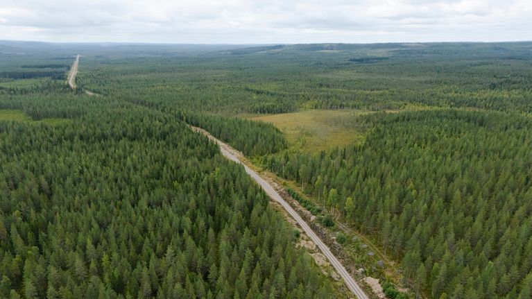 Ilmakuva metsäisestä maisemasta, jonka halki kulkee suora maantie ja sivummalla kapea junarata.