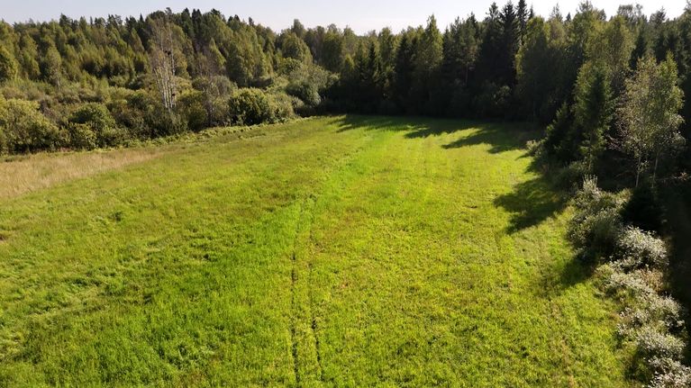 Aurinkoisella säällä otettu kuva vihreästä pellosta, jonka ympärillä kasvaa metsää.