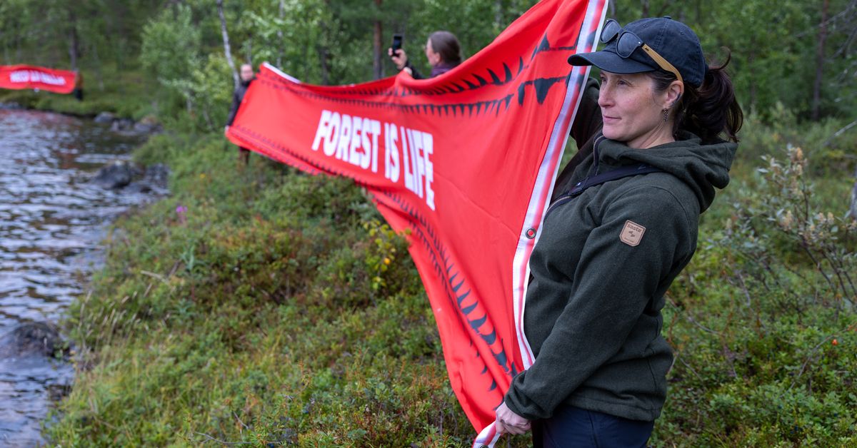 Metsähallitus alkaa myydä tontteja Inarissa – paliskunta syyttää neuvottelu­velvollisuuden laimin­lyönnistä | Kotimaa