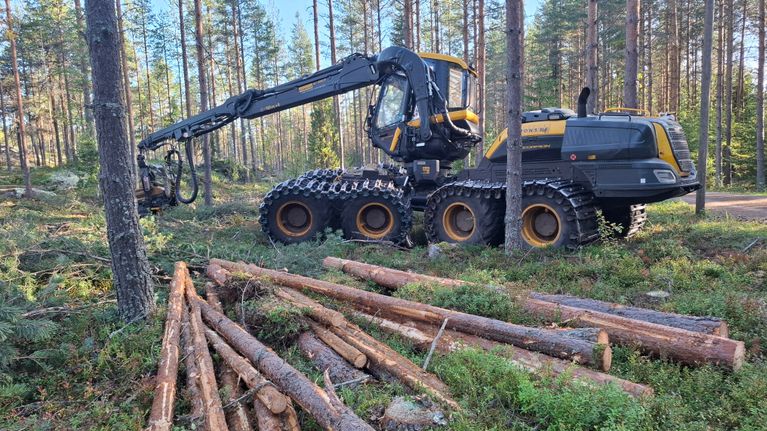 Metsäkone korjaa puita metsässä, etualalla pinottuna kaadettuja tukkeja, taustalla havupuita.