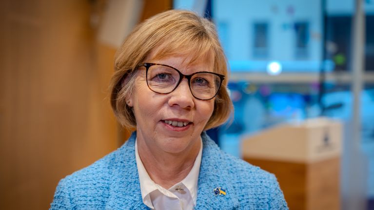 Kuvassa on RKP:tä edustava Anna-Maja Henriksson.