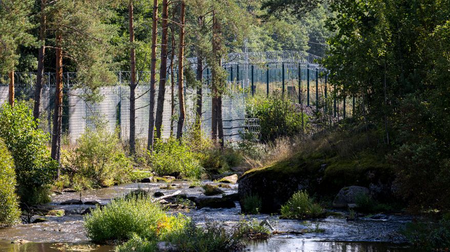 Metsän keskellä kulkee korkea raja-aita, jonka edessä on puro ja kivikkoista maastoa.