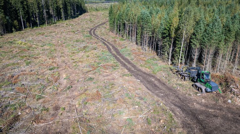Metsäkone seisoo avohakatulla alueella, tien vieressä kasvaa tiheää metsää.