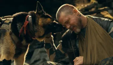 Elokuva-arvio: Brad Pittin 'Heart of the Beast' on miehen ja koiran välisen ystävyyden ylistys