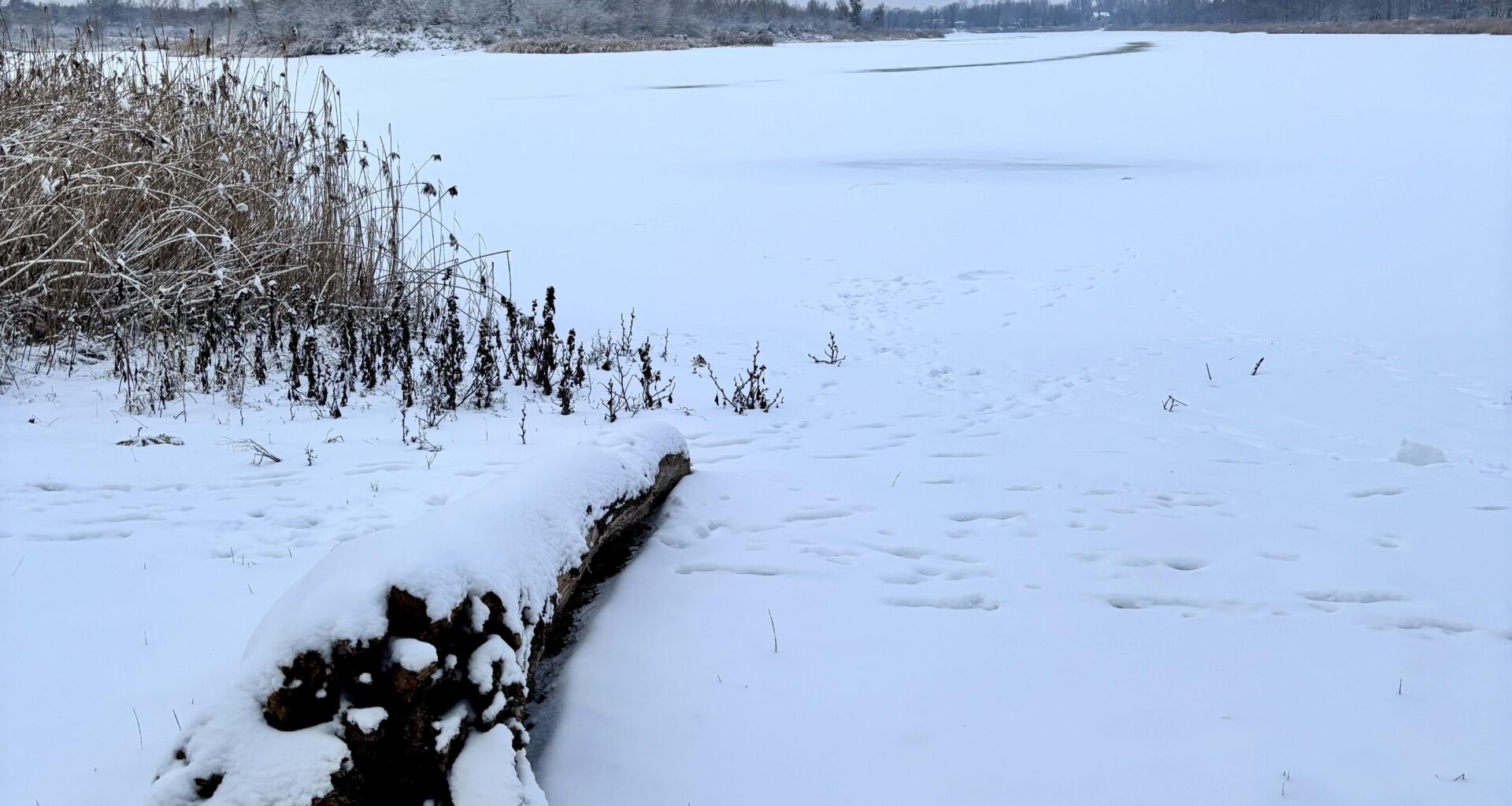 Magdeburg can be pretty this time of the year