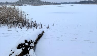 Magdeburg can be pretty this time of the year