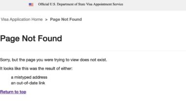 US non immigrant Visa application