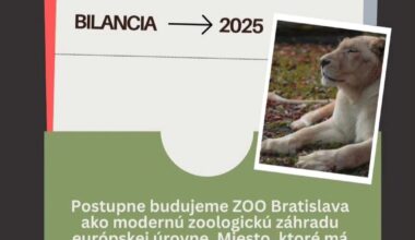 Rok 2025 v ZOO Bratislava