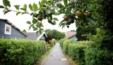 [Gavelink]De har boet ulovligt i årevis. Nu er de et stort skridt tættere på milliongevinster: »Man har jo udmærket vidst, at folk boede derude hele året« -De har boet ulovligt i årevis uden at betale den samme skat som andre boligejere. Meget snart kan det være fortid, og de kan sælge til millioner