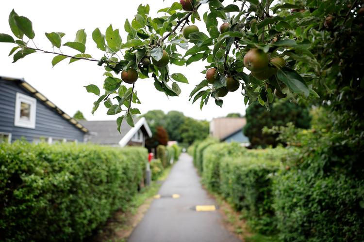 [Gavelink]De har boet ulovligt i årevis. Nu er de et stort skridt tættere på milliongevinster: »Man har jo udmærket vidst, at folk boede derude hele året« -De har boet ulovligt i årevis uden at betale den samme skat som andre boligejere. Meget snart kan det være fortid, og de kan sælge til millioner