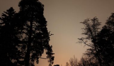 Was I seeing the northern lights or was this just light pollution?