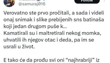 SNS batinaši dobili šta su zaslužili