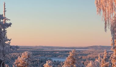 Views from Ruka today