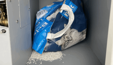 Do půlnoci objednáš, ráno v AlzaBoxu máš.