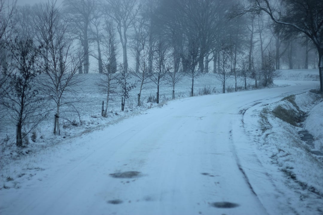 Het uitzicht vanuit mijn kantoor vandaag.