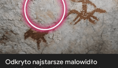 Twórca artukułu był hyba pijany