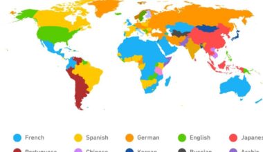 Segundo idioma estudiado en España en Duolingo 😒