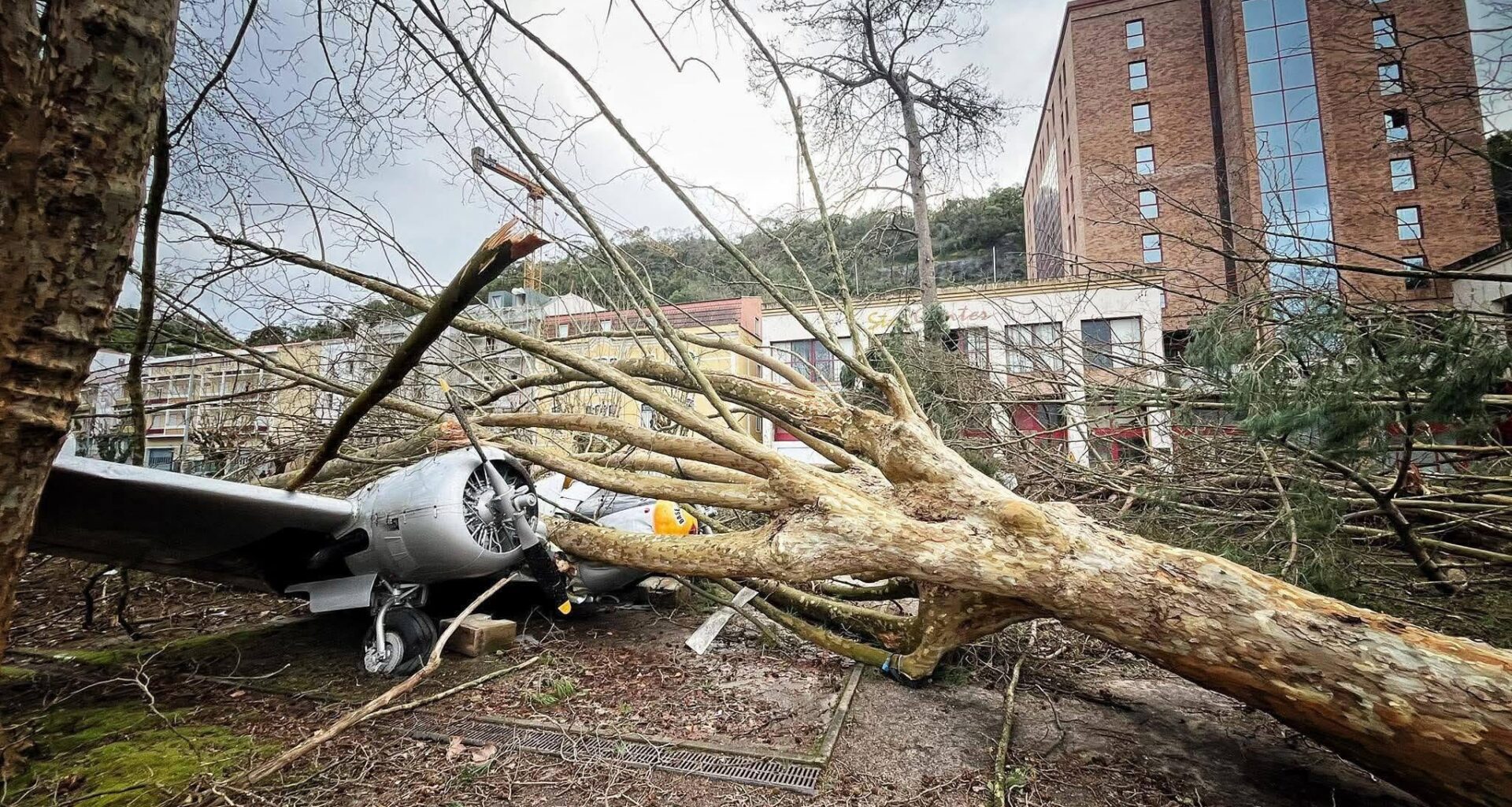 Símbolo maior de Leiria destruído 😢