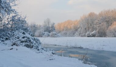 Winter around Almere Haven