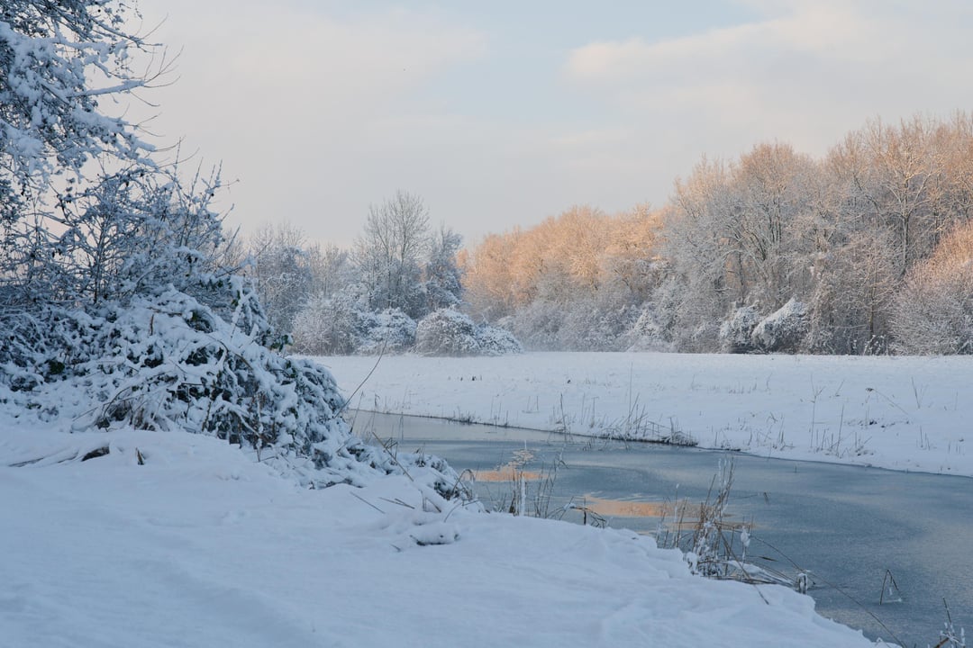 Winter around Almere Haven